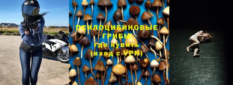 Магазины продажи наркотиков Пущино Канабис  Альфа ПВП  Гашиш 